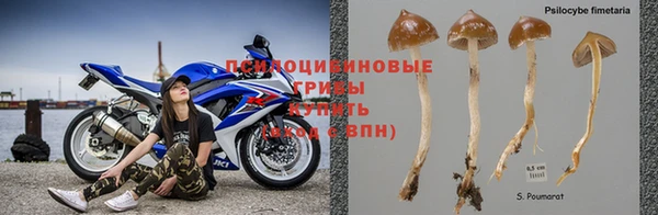 прущая мука Остров